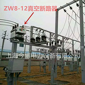 ZW8-12/630a高壓柱上真空斷路器10KV